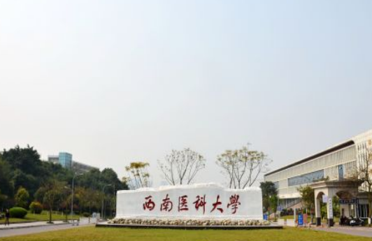 泸州有哪些大学:2018年泸州所有大学名单及排名