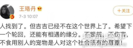 王珞丹发启事寻宠物鸭 警方：已被宰杀 抓鸭人或涉嫌盗窃实在是太可恶了