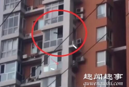北京男子13楼家中扔出花盆被刑拘 背后真相实在让人惊愕