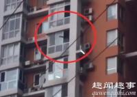 北京男子13楼家中扔出花盆被刑拘 背后真相实在让人惊愕