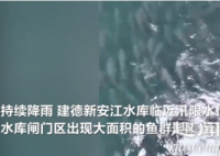 壮观！杭州水库因强降雨水位暴涨 闸门前出现神奇景象到底是什么情况(视频)?