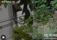 女子花144万元购买别墅 入住后发现旁边树林中一幕当场崩溃真相曝光实在令人震惊