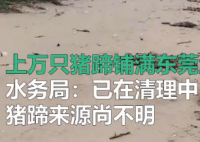 7月11日,广东东莞海滩出现大量猪蹄和不明动物内脏,据估算全部猪蹄有几十吨