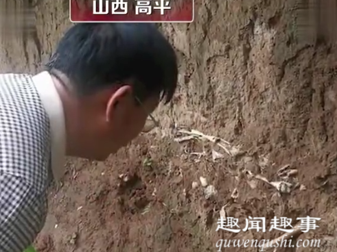 近日,山西高平一村民意外发现骇人尸骨坑,长度超20米、厚度约0.6米,现场累累白骨