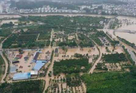 长江中游干流水位预计将复涨 各区域复涨多少米?