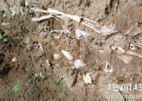 山西村民发现骇人尸骨坑厚度超过半米 专家勘查后揭秘真相实在令人震惊