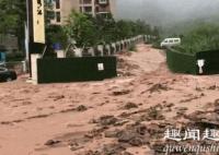 7月16日,重庆多地遭暴雨袭击,万州洪水肆虐涌入城区,有员工拍到洪水不断喷涌进
