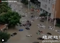 暴雨后数百辆汽车漂浮在洪水中 司机大哥神举动逃过一劫真相揭秘实在令人震惊