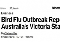澳大利亚暴发H7N7禽流感 具体是什么情况?