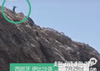 近日,一男子发现远处悬崖上有个小黑点晃动,镜头拉近一看原来是有人从40米高处