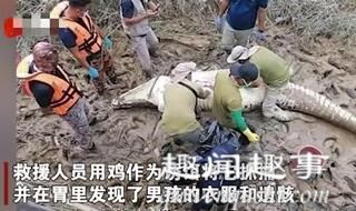 14岁少年被4.5米鳄鱼拖走,几天后搜救人员打开鳄鱼腹惊了画面曝光实在让人震惊