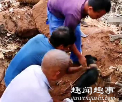 8月12日,贵州毕节发生山体滑坡37天后,村民回到现场清理残存物,隐隐听到微弱的
