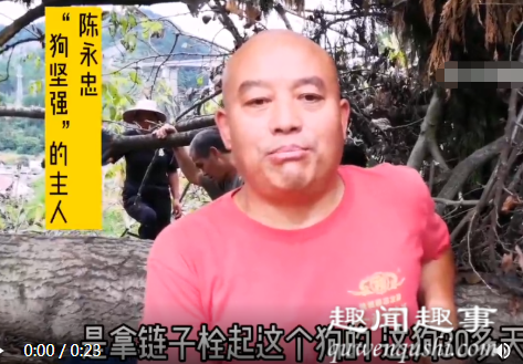 奇迹!贵州村民37天后回到山体滑坡现场 挖开废墟看到奇迹一幕