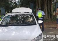 8月13日,广西贵港,民警在高速服务区检查过往车辆时,发现一辆小车上坐着两男两
