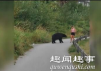 太惊险!美女跑步突遇黑熊拦路当场愣住 对方一个举动叫人忍俊不禁
