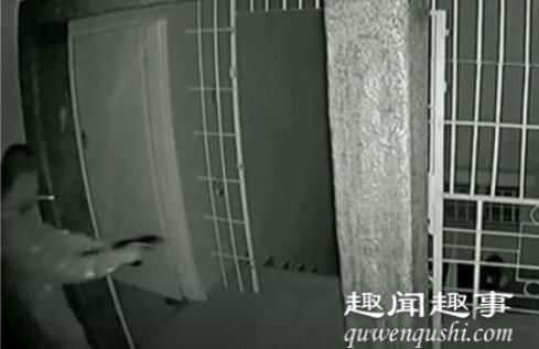太意外!华人遭武装团伙入室抢劫 叼烟掏枪“神反击”全程被拍下