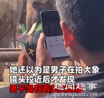 女子看大象拍到前方男子玩手机 镜头一拉近让她瞬间无语