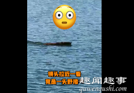 深圳市民海边钓鱼发现不断移动怪物 游近后所有人沸腾了真相曝光实在令人震惊