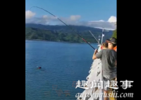 9月20日,深圳一市民在海边钓鱼时,突然发现海面有个奇怪物体不断移动,游近后在场所有人