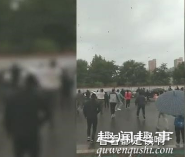 10月1日,河北唐山上空有直升机撒下漫天红包,吸引众人纷纷上前争抢,有市民拿到