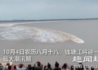 国庆期间,钱塘江迎来三年最雄壮大潮,多人在潮水撞坝时凑近围观,镜头拍到下一幕腿软