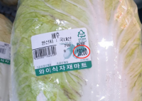 韩国大白菜涨价至62元一棵 为什么这么贵背后原因实在让人惊愕