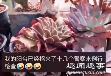 江苏一名漂亮女子家每晚都闪烁特殊粉色灯光,随后屋内景象曝光超尴尬。