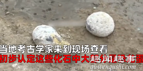 10月21日,居民在一处干涸池塘发现有上百块奇形怪状的石头,专家一看惊喜万分。