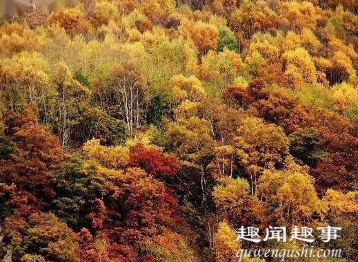 近日,北京一家六口外出进山赏秋,不料遇到意外一去不回,被发现时现场画面太揪心