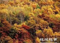 近日,北京一家六口外出进山赏秋,不料遇到意外一去不回,被发现时现场画面太揪心