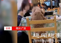 近日,四川一男子带着宠物狗进饭店,还让狗狗站在椅子上同桌吃饭,店老板发现一个细节