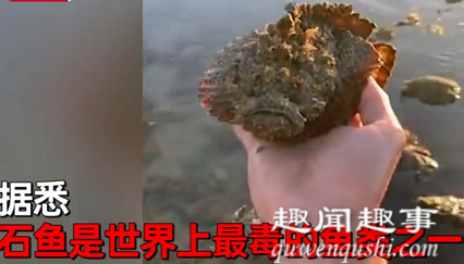 近日,一男子在海边徒手捡起一块古怪“石头”,随后扔回了大海,他拍下视频引发