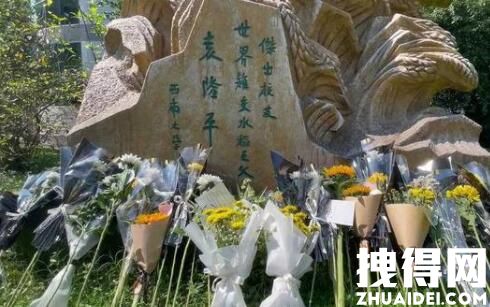 农民丰收节袁隆平雕像前满是鲜花 献花悼念感恩袁老