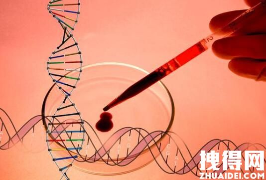 北京2人核检分别阳性和单基因阳性 究竟是什么意思？