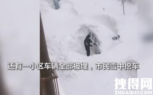 内蒙古通辽市民开启雪中挖车模式 原因竟是这样实在太意外了