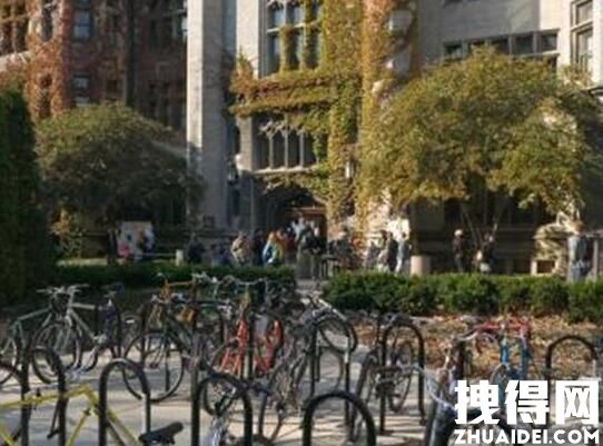 中国留学生在芝加哥遭抢劫枪杀 内幕曝光实在令人震惊