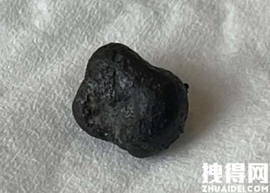上千人赴河南寻陨石 专家:找到一颗 原因竟是这样实在太意外了
