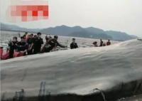 宁波象山海域一头鲸鱼搁浅 原因竟是这样实在太意外了