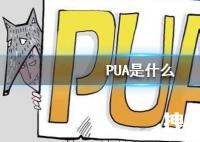 pua是什么意思_pua是什么意思网络用语_被pua是什么意思梗