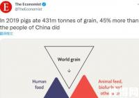 称猪比中国人吃得多后 经济学人删推 内幕曝光简直太意外了