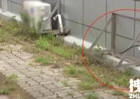 韩国公务员偷公厕空调送岳母 内幕曝光简直太意外了