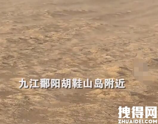 江西干旱已超70天:鄱阳湖刮沙尘暴 背后真相实在让人惊愕
