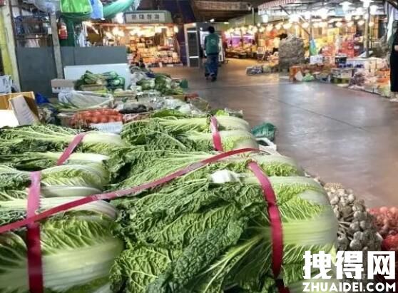 白菜涨价韩大幅进口中国泡菜 背后真相实在让人惊愕