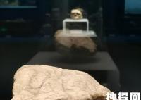 湖北发现距今百万年人类头骨化石 背后真相实在让人惊愕