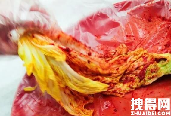 韩国近一半泡菜生产商关闭 内幕曝光简直太意外了