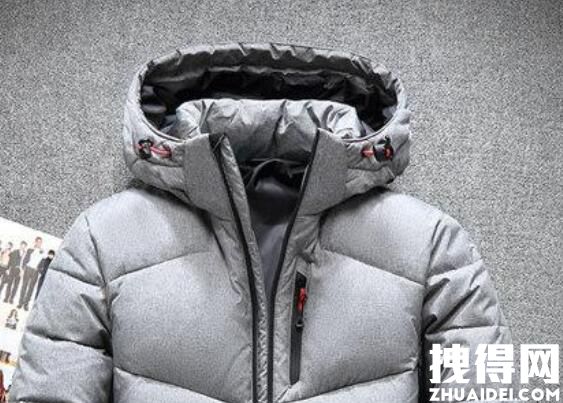 日本东京政府鼓励民众穿高领毛衣 内幕曝光简直太意外了