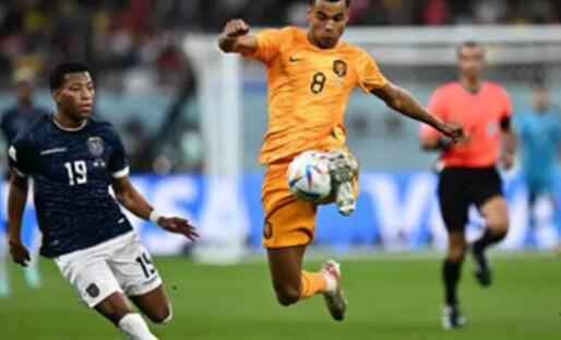 世界杯荷兰vs卡塔尔预测比分