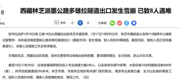 西藏林芝一隧道出口雪崩 8人遇难