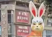 重庆街头巨型兔子灯被市民吐槽太丑 内幕曝光简直太意外了