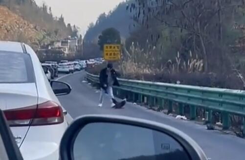 堵车男子在高速上与公鸡打架 究竟是怎么回事？